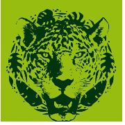 Otorongo eco guest house