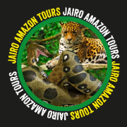 Jairo Amazon tours