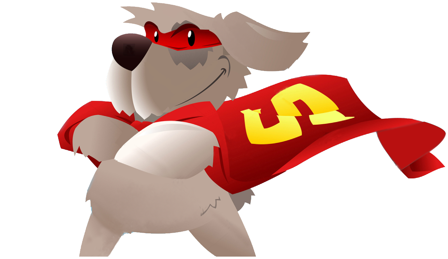 RAPIPETS