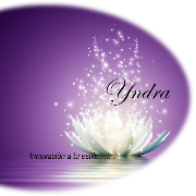 Yndra innovación a tu estilo