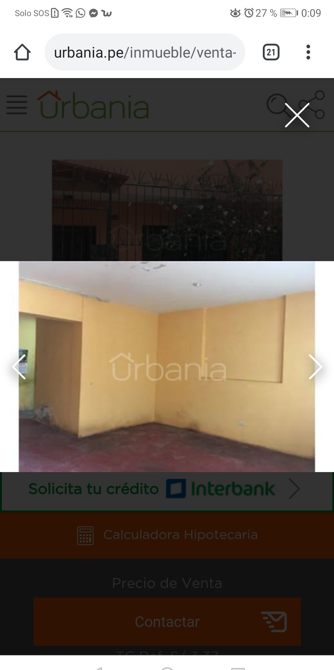 Bodega angelica