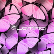 Vitotin Shop