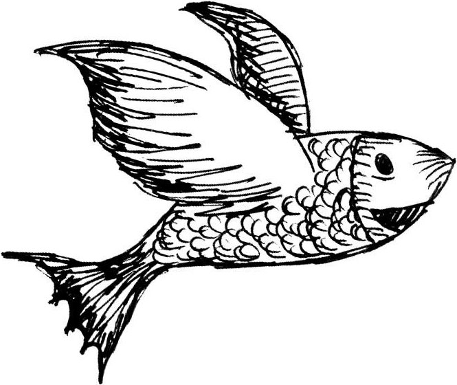 dalvarado