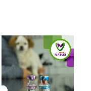 veterinaria mazuri