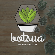 Botsua Suculentas y Cactus