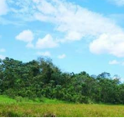 Double Tree Iquitos USD