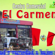 Centro Comercial el Carmen