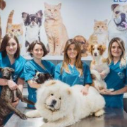 Veterinaria susy