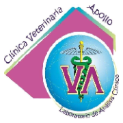 Clinica Veterinaria Apollo