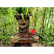 amazonforever