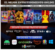 Vetutv