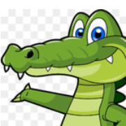 HOST GATOR