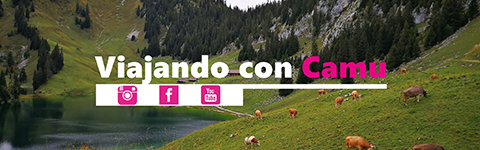 Vive Viajes por el Mundo