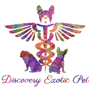 DiscoveryExoticPet