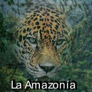 Capadocia Amazonas project