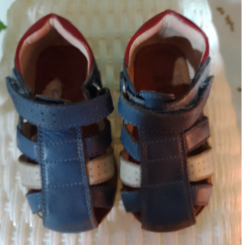Zapatilla Niño