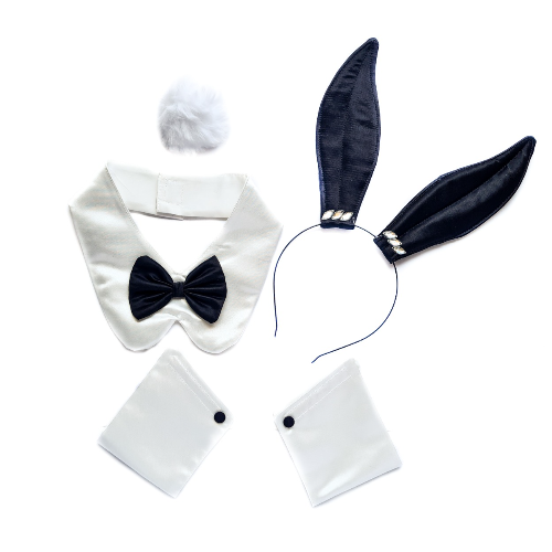 Set accesorios conejita