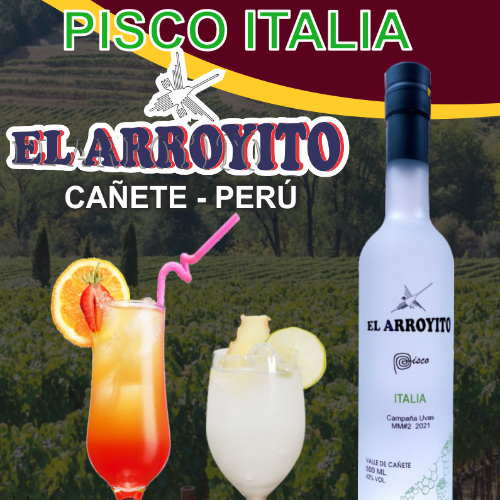 PISCO ITALIA