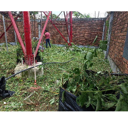 Limpieza de malezas en antenas y otros lugares delicados