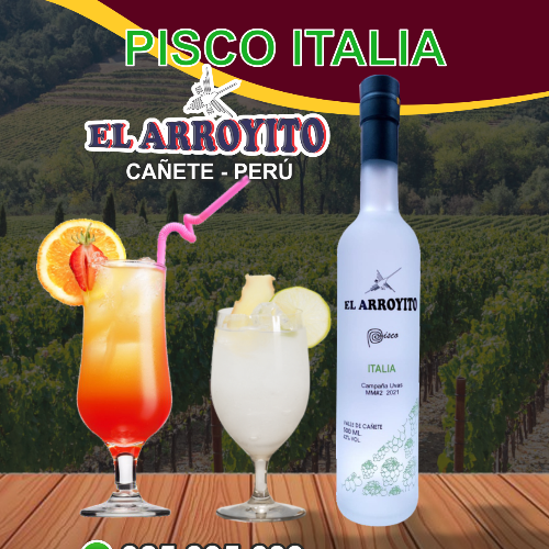 PISCO ITALIA BOTELLA DE 500ml